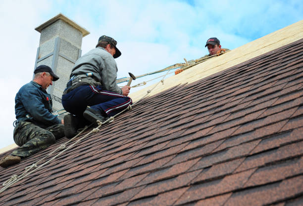 Best Metal Roofing Contractor  in Superior, NE